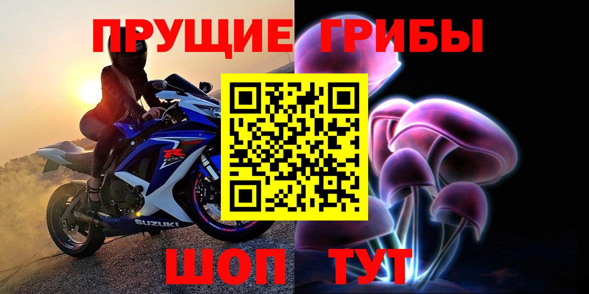 Галлюциногенные грибы Psilocybe  Вход с VPN  Галлюциногенные грибы мухоморы  что такое наркотик  Лениногорск 